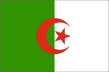 algerie vs egypte