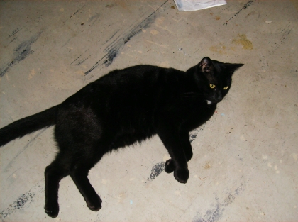 My lOve Of my life !!!