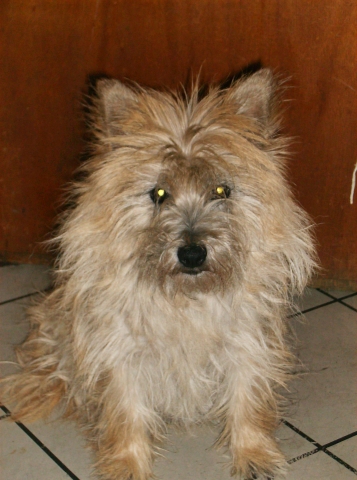 2 nd lOve Of my life !!!