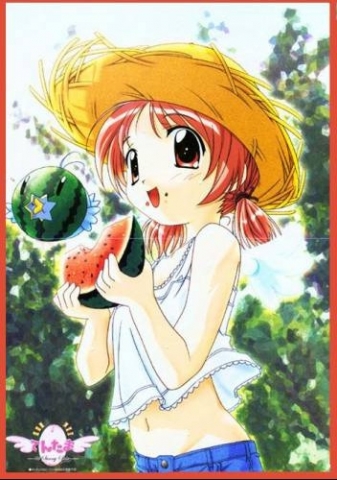 jadore les pasteques