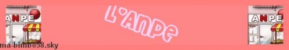 L'anpe 
