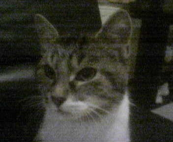 Des sites trop cool!!!