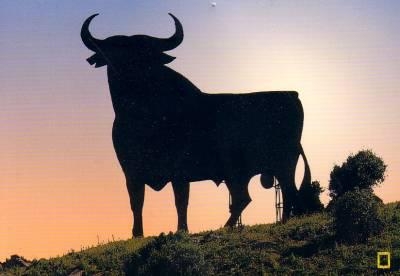 cet t ge ver en espagne tro COOL