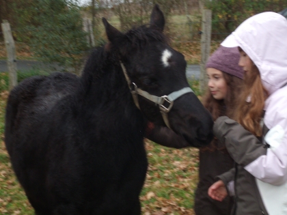 svp!!des com's sur V�nus!!!!