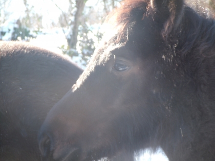 VOTRE GOUT POUR LES STARS