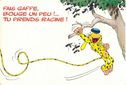 marsupilami 3