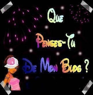 vous pensez quoi de mon blog ?