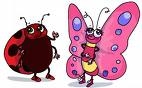coccinelle et papillon