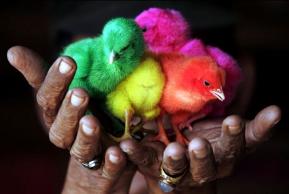 c toi ta kouleur preferer???