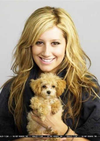 ashley tistale est son chien