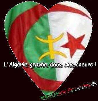 aller les verts