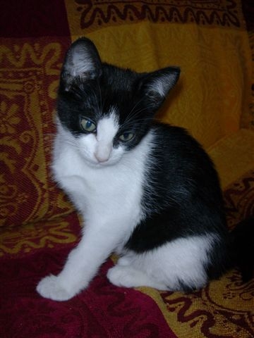 regarder la!!!elle est trooooop belle!!!