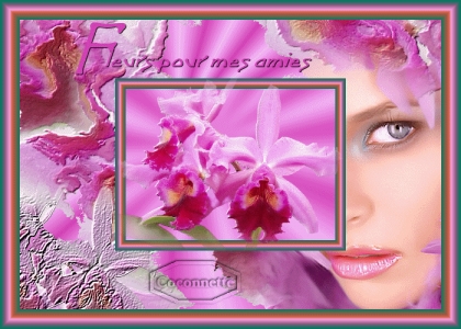 pour vous les filles 