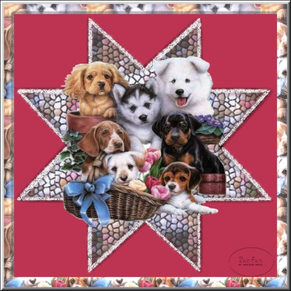 pour vous mes deux amies 