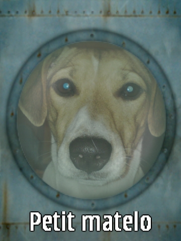 Le chien de mon grand -pre