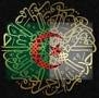 drapeau de l algerie ilumin