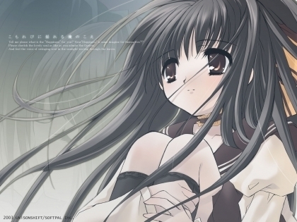 venez vite voir mon blog