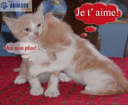 vous me donner: je vous rend: