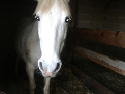 Oasis bon benh voila ma vie , mon bb 