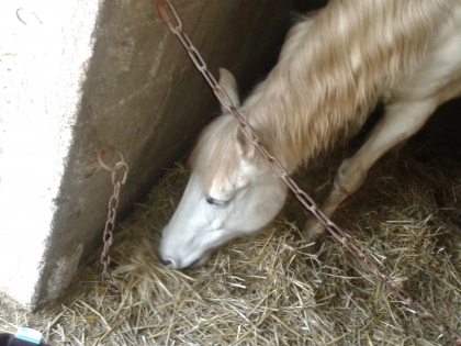 ma louloute mon bb comme je peut l'apeller mdr