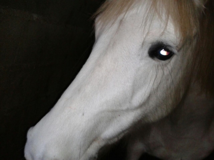 elle  et moi la rencontre au club 