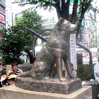 une petite histoir taper HACHIKO DANS INTERNET EST VOUS ALLER LE TROUVER 