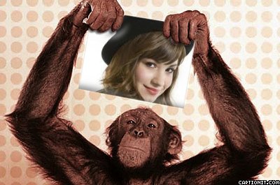 tout sur demi lovato 