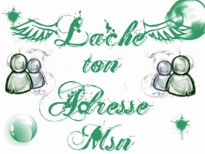 lachez vos adresse msn svp!