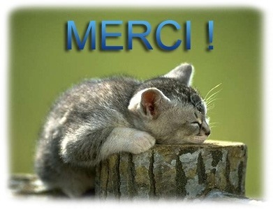 merci pour les coms