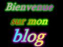 bienvenue sur mon blog 