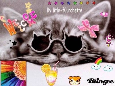 un chat avec plein d jouer lol