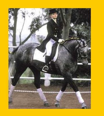 doroth�e doutey et hugo