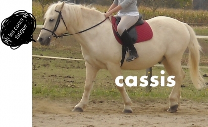 Moi a cheval!!!!!Sur cassis!!!!!!!!!!!