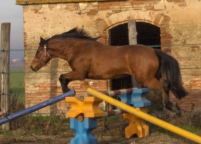 Troppppppp belle ma ch�rie!!