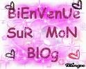 bienvenu  sure mon blog