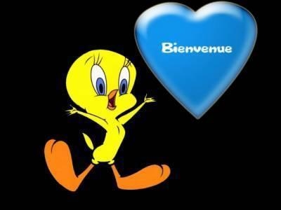 bienvenue sur mon blog