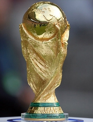 la coupe du monde 2010