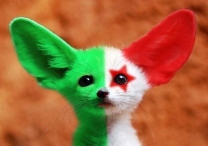 1.2.3 viva l'algerie