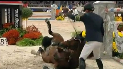              MORT D'UN GRAND CHAMPION 