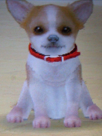 Bienvenue sur mon blog !