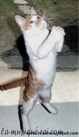 comment on peut avoir 2 blog ??????????