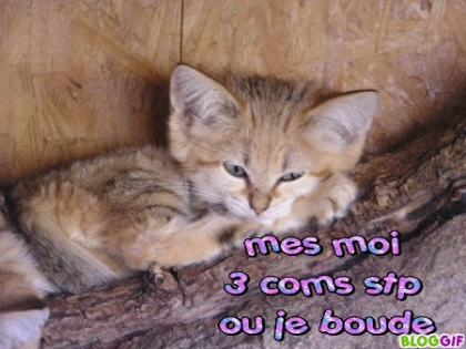 mes moi 3 comms ou je ...