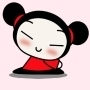pucca