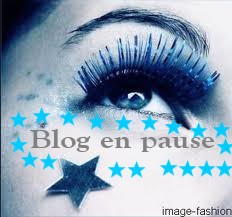 Blog en pause
