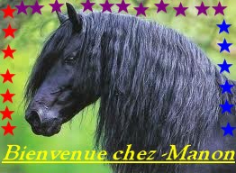 Cheval frison montage