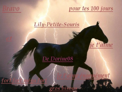 Pour une de mes copine sur equideow