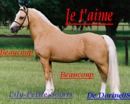 Pour une de mes copine sur equideow