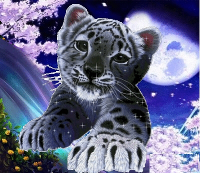 Le lionceau brillant