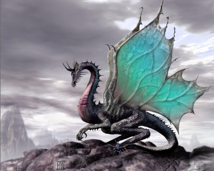 Le beaux dragon