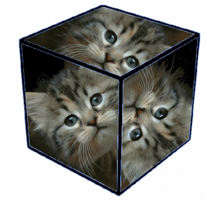 Trop mignon la boite